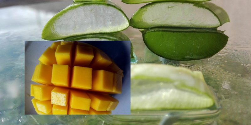 HERBAL ALOE VERA MANGO-05314079994