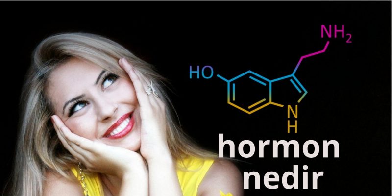 HORMON NEDİR NE İŞE YARAR-05314079994